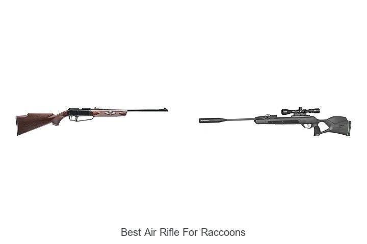 Top 15 Best Air Rifle For Raccoons You Must See Now