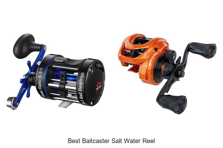 Top 15 Best Baitcaster Salt Water Reel for Ultimate Fishing
