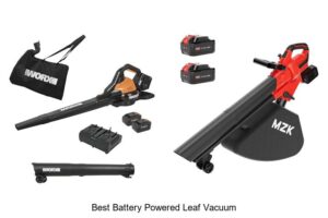 Top 15 Best Battery Powered Leaf Vacuum For Effortless Cleanup