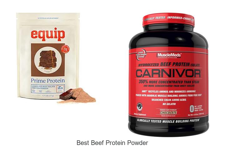 Top 15 Best Beef Protein Powder for Maximum Gains