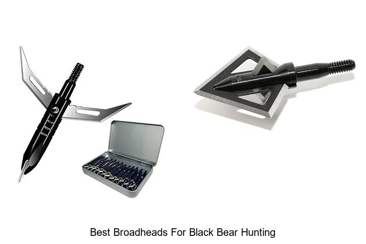 Top 12 Best Broadheads For Black Bear Hunting You Need