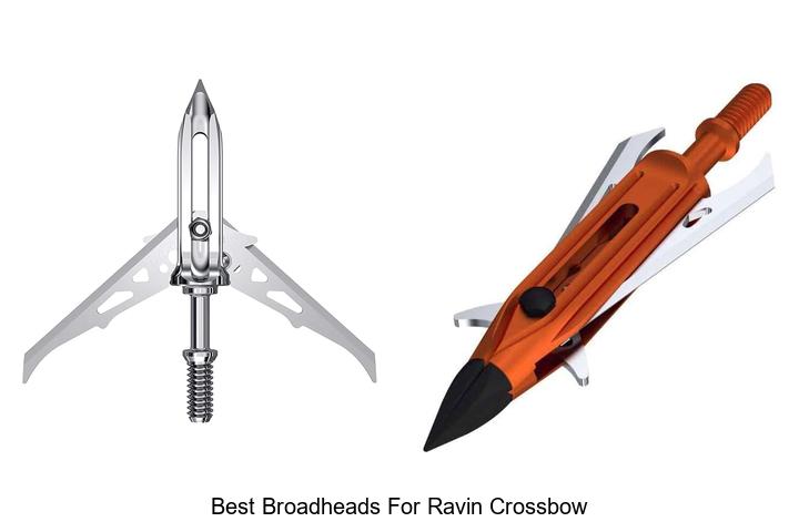 Top 12 Best Broadheads for Ravin Crossbow You Must Try