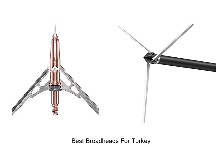 Top 12 Best Broadheads For Turkey You Must See Now