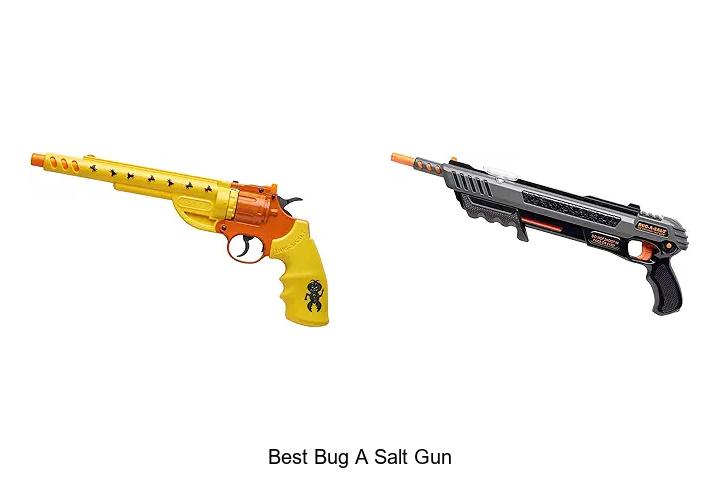 Top 15 Best Bug A Salt Gun for Ultimate Pest Control