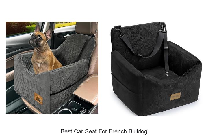 Top 15 Best Car Seat For French Bulldog You Must See!