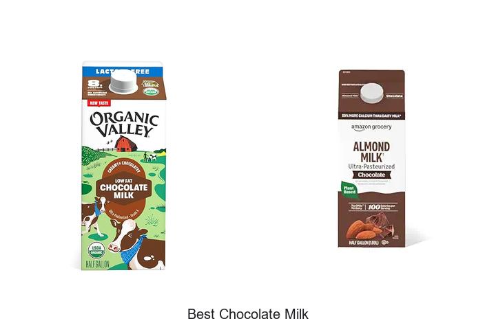 Top 15 Best Chocolate Milk You Must Try Today