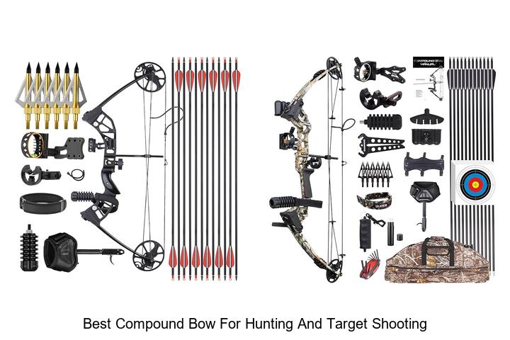 Top 12 Best Compound Bow For Hunting And Target Shooting