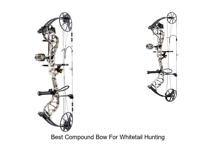 Top 12 Best Compound Bow For Whitetail Hunting You Must See