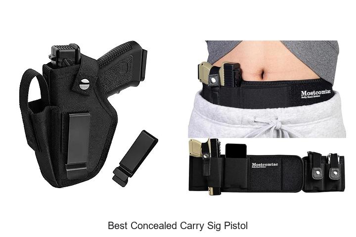 Top 12 Best Concealed Carry Sig Pistol You Must See