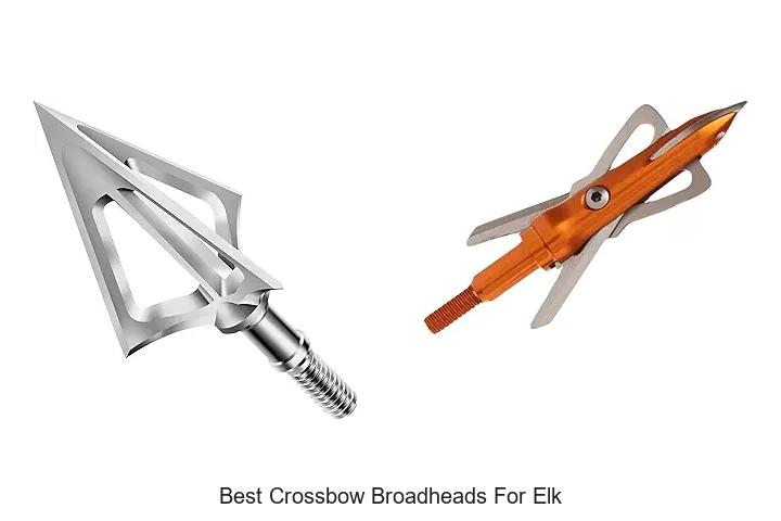 Top 12 Best Crossbow Broadheads For Elk You Must See