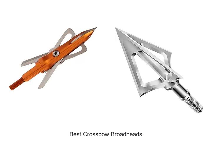 Top 12 Best Crossbow Broadheads You Must See Today