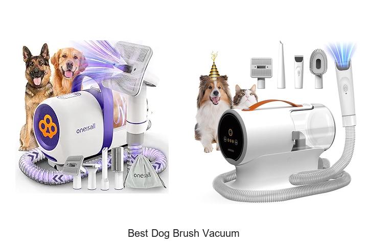 Top 15 Best Dog Brush Vacuum For Hassle-Free Grooming