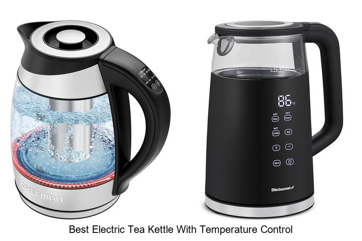 Top 15 Best Electric Tea Kettle With Temperature Control You Must See