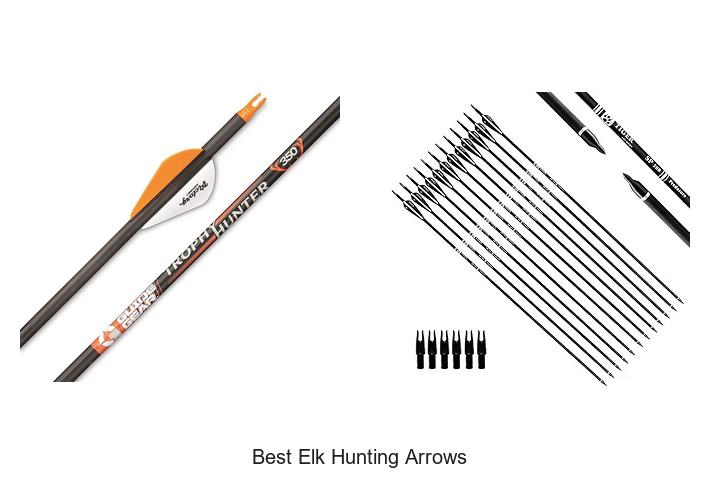 Top 12 Best Elk Hunting Arrows You Can’t Miss