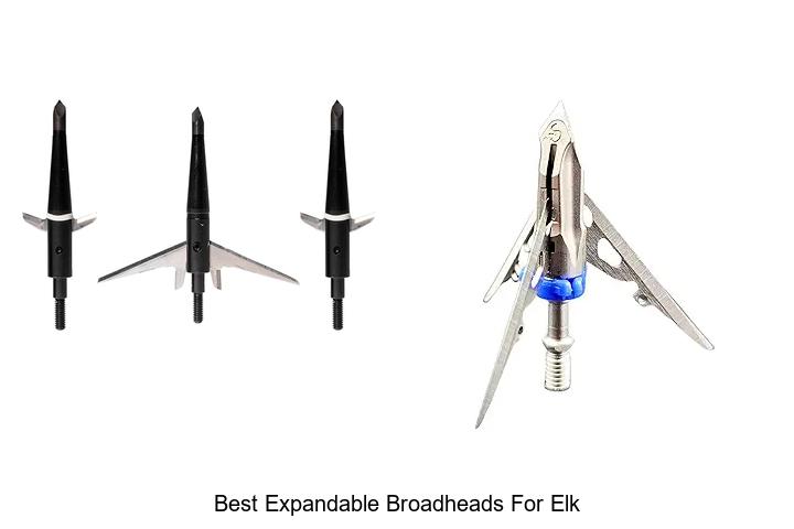 Top 12 Best Expandable Broadheads For Elk You Can’t Miss