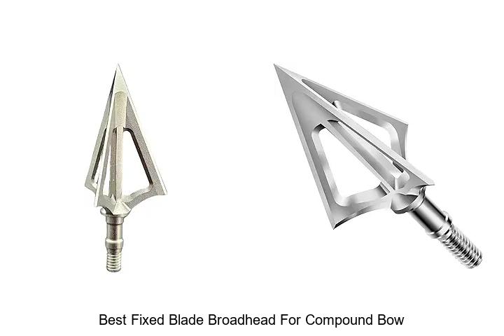 Top 12 Best Fixed Blade Broadhead for Compound Bow Revealed