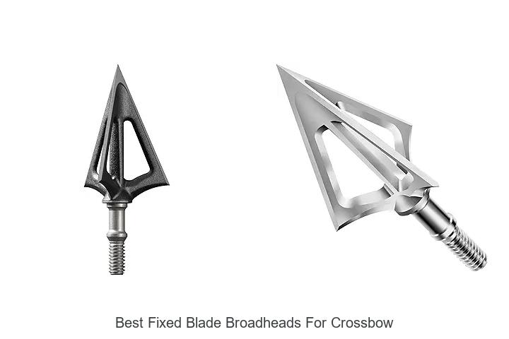 Top 12 Best Fixed Blade Broadheads For Crossbow That Kill Quicker