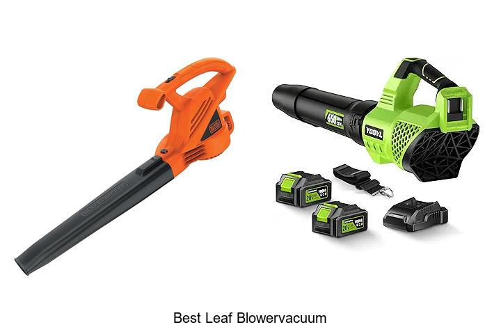 Top 15 Best Leaf BlowerVacuum Picks You Can’t Miss