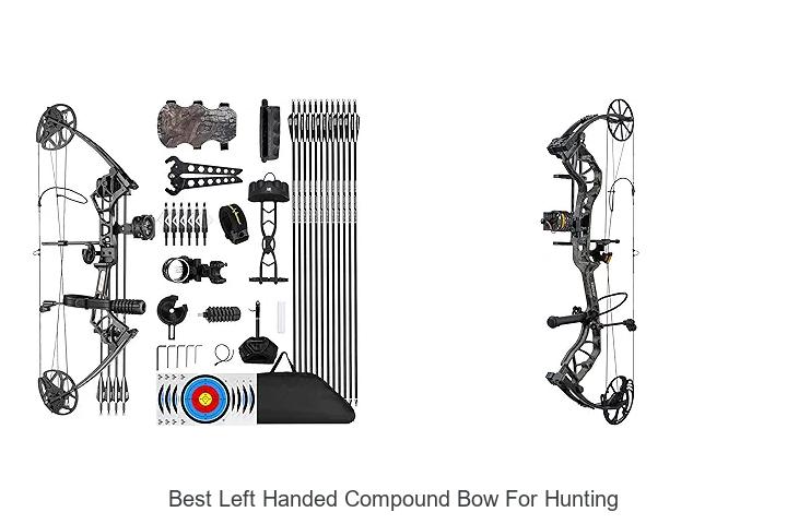 Top 12 Best Left Handed Compound Bow For Hunting Revealed