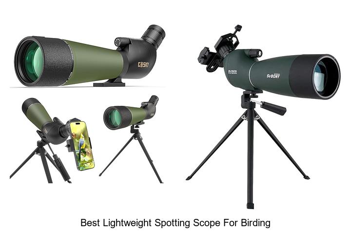 Top 12 Best Lightweight Spotting Scope For Birding To Elevate Your Birdwatching