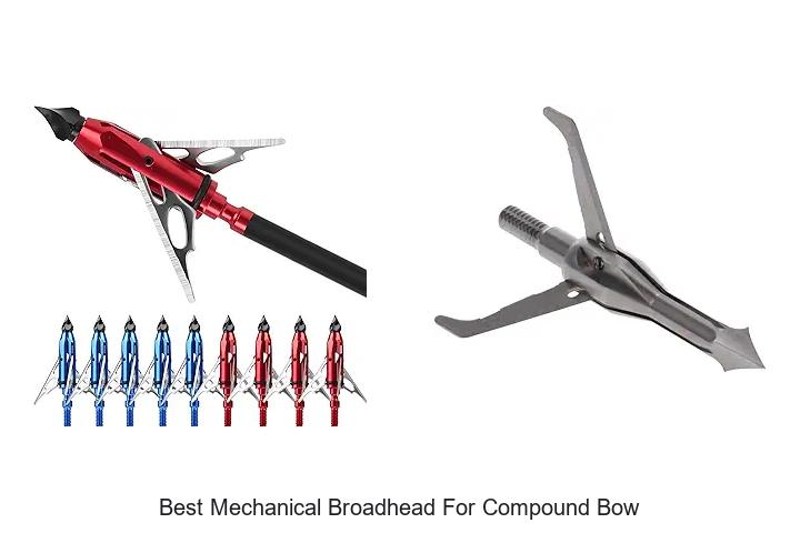 Top 12 Best Mechanical Broadhead For Compound Bow Revealed