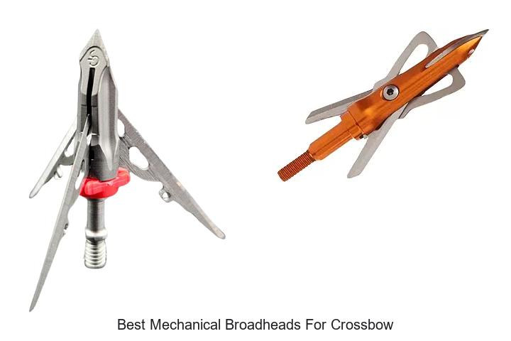 Top 12 Best Mechanical Broadheads for Crossbow You Must See