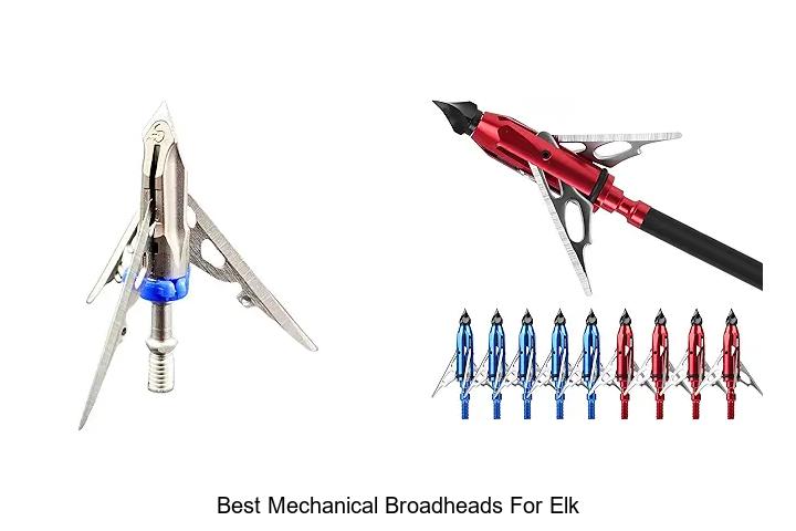 Top 12 Best Mechanical Broadheads for Elk You Can’t Miss
