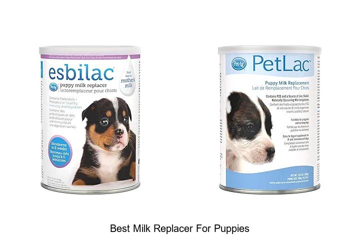 Top 15 Best Milk Replacer For Puppies You Must Try