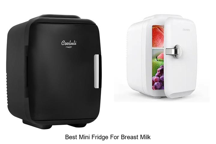 Top 15 Best Mini Fridge For Breast Milk You Must See