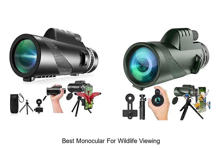 Top 12 Best Monocular For Wildlife Viewing You Can’t Miss