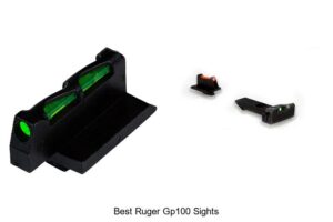 Top 15 Best Ruger GP100 Sights You Must See Today