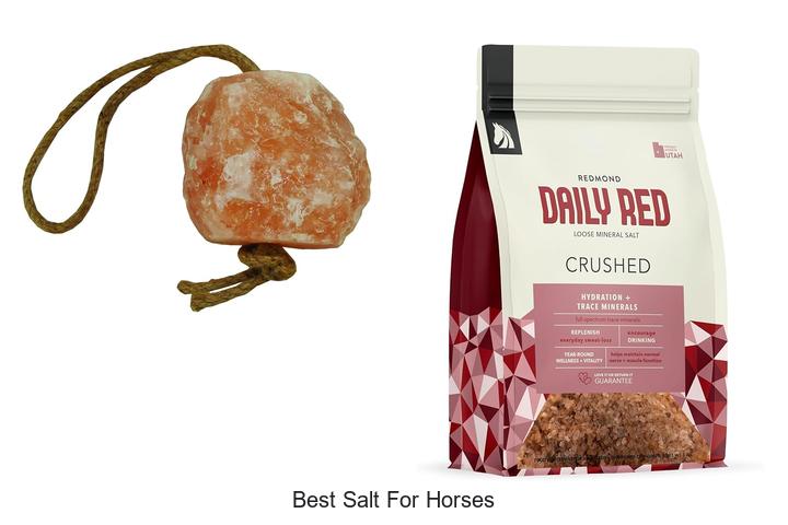 Top 15 Best Salt For Horses You Must See Today