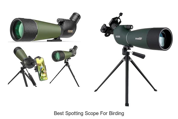 Top 12 Best Spotting Scope For Birding You Must See Now