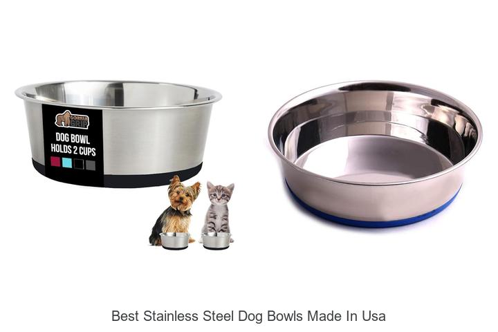 Top 15 Best Stainless Steel Dog Bowls Made In USA