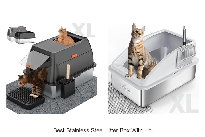 Top 15 Best Stainless Steel Litter Box With Lid Secrets