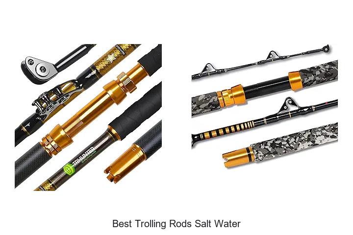 Top 15 Best Trolling Rods Salt Water For Huge Catches