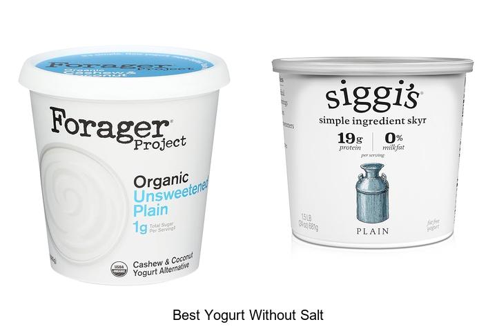 Top 15 Best Yogurt Without Salt You Must Try Today