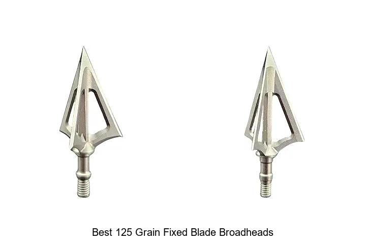 Top 12 Best 125 Grain Fixed Blade Broadheads for Precision