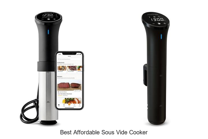 Top 15 Best Affordable Sous Vide Cooker for Perfect Results