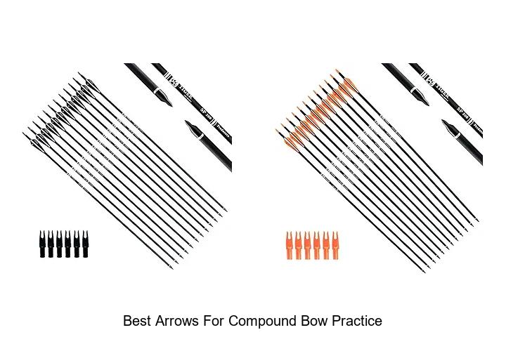 Top 12 Best Arrows For Compound Bow Practice You Must See