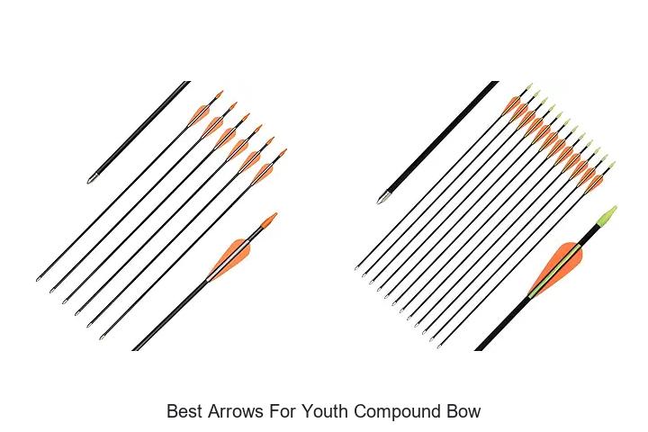 Top 12 Best Arrows For Youth Compound Bow You Can’t Miss