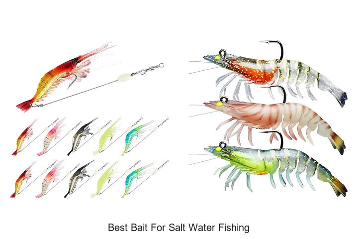 Top 15 Best Bait for Salt Water Fishing To Catch More Fish
