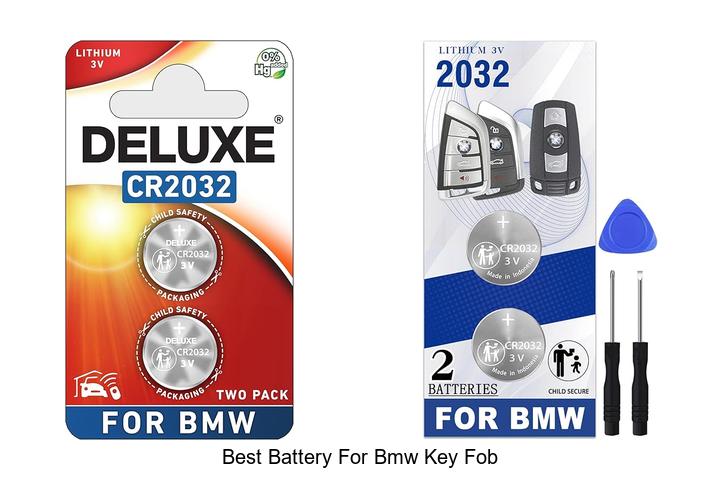 Top 15 Best Battery For BMW Key Fob To Keep It Powering Ware