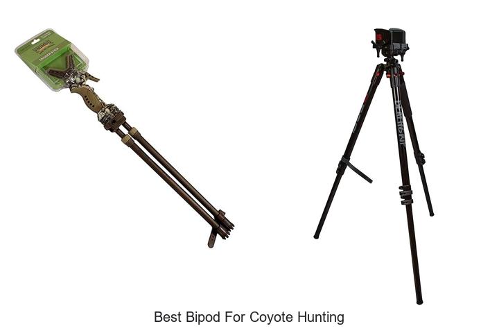 Top 12 Best Bipod For Coyote Hunting You Must See