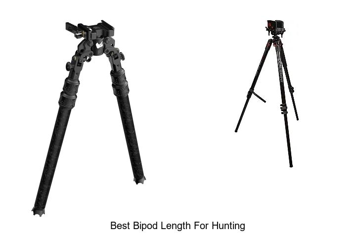 Top 12 Best Bipod Length for Hunting You Must Know