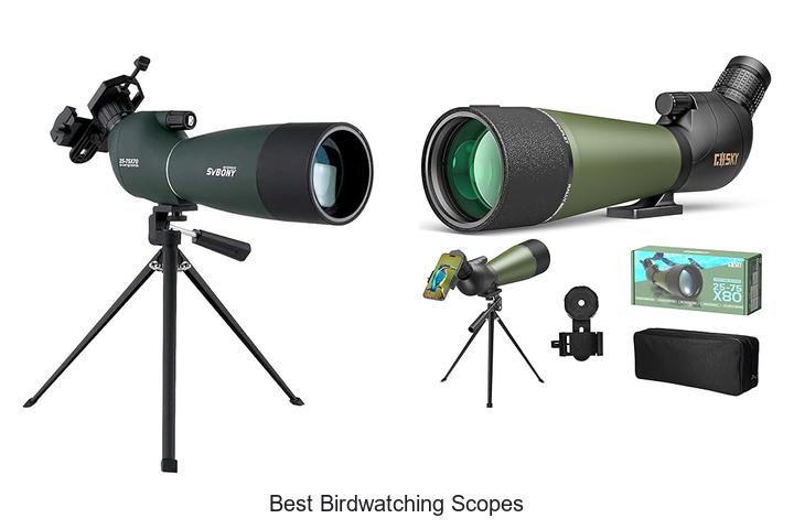 Top 12 Best Birdwatching Scopes You Can’t Miss