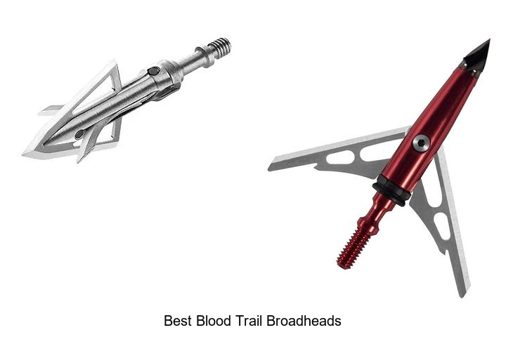 Top 12 Best Blood Trail Broadheads For Easy Tracking