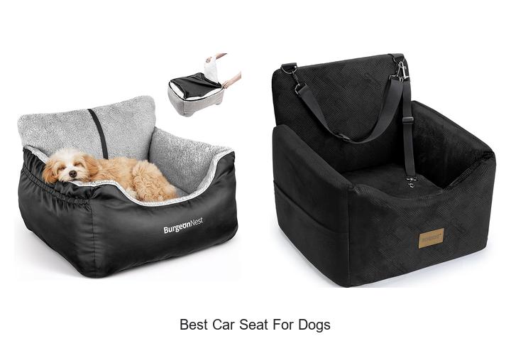 Top 15 Best Car Seat for Dogs You Must See Today