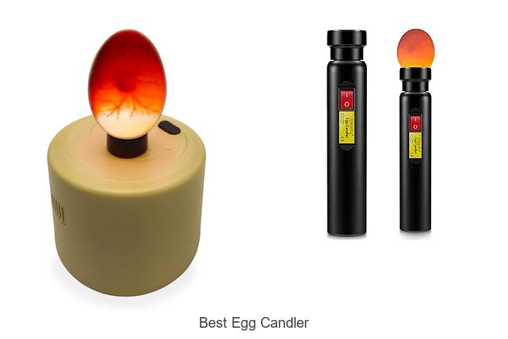 Top 15 Best Egg Candler For Perfect Fertility Checks