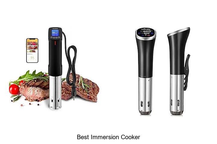 Top 15 Best Immersion Cooker You Need to Try Now